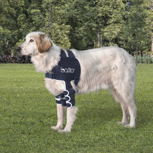 A dog back brace to Lift and Carry your dog - Alpha Mobility