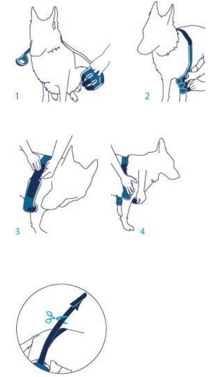 Balto-BT-SOFT-Fitting-Instructions