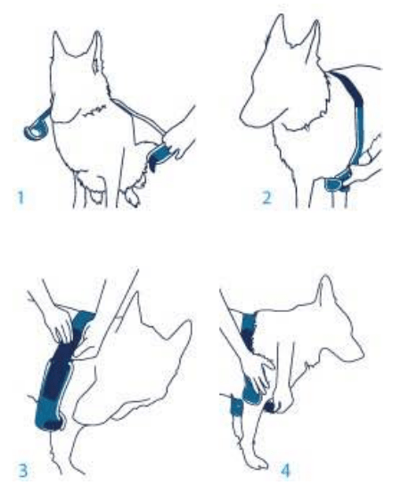 Balto-BT-SOFT-PLUS-Fitting-Instructions