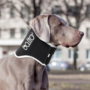 Balto – Dog Neck Brace – BT NECK Eco