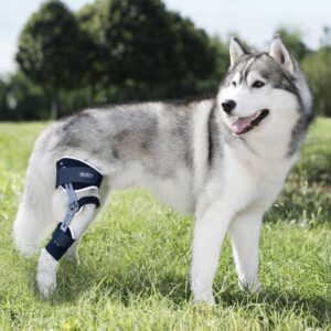 Balto LIGATEK – Dog Knee Brace